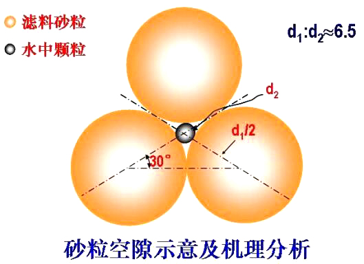 砂?？障妒疽饧皺C(jī)理分析